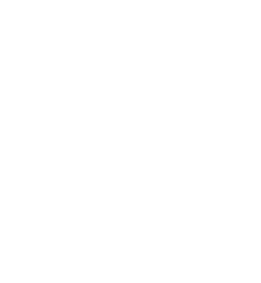 BWSOX Sarbanes Oxley Compliant Logo
