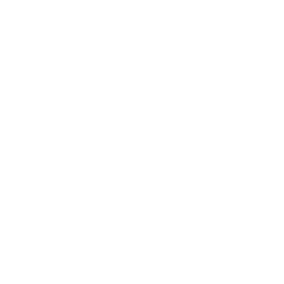 Dept. of Homeland Security Logo